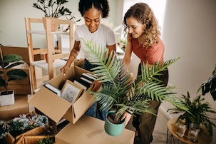 Two friends are furnishing a home together